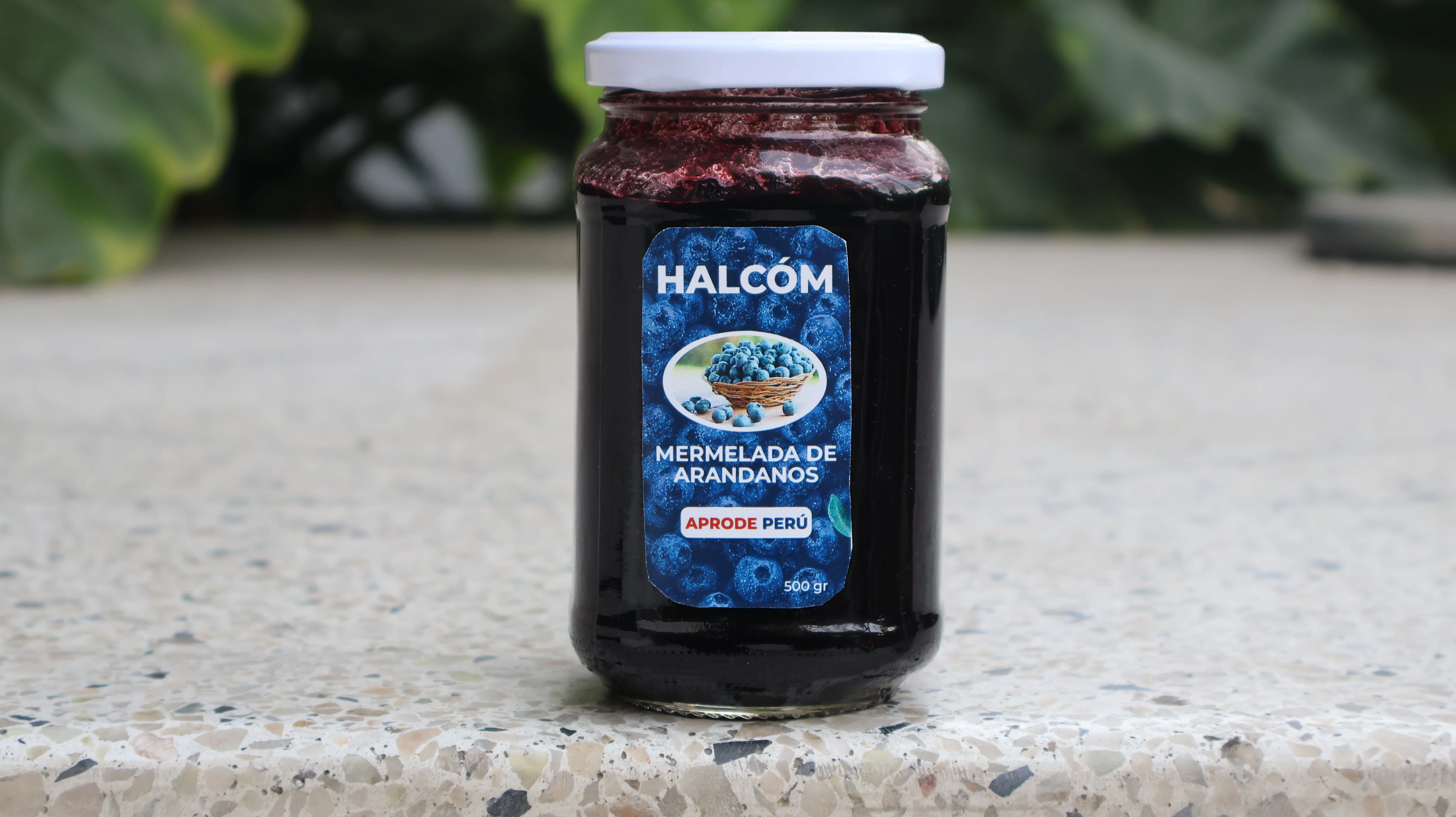 Mermelada de Arándanos (500 g)
